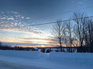 Meet your Posher, Genevieve